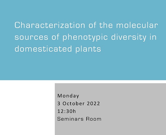 Characterization of the Molecular Sources of Phenotypic Diversity in Domesticated Plants